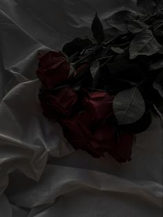 a bunch of red roses laying on top of a white sheeted bed spread with green leaves