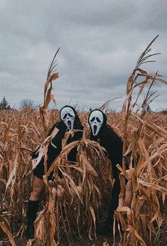 two people wearing masks standing in a corn field