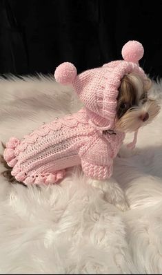 a small dog wearing a pink sweater and hat