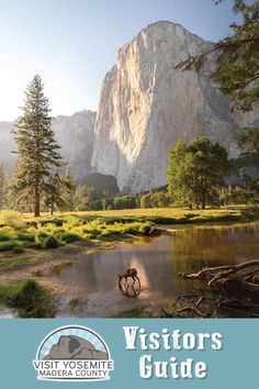 an animal is standing in the water near mountains