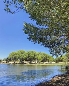 the water is calm and blue with trees on both sides in the foregrounds