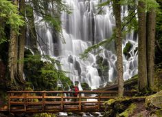 a wooden bridge over a small stream in the woods next to a waterfall with water cascading down it