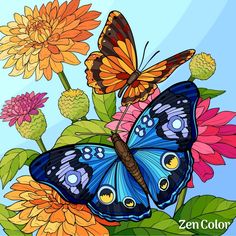 two butterflies sitting on top of colorful flowers