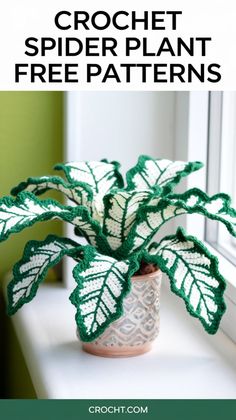 a crochet spider plant sits on a window sill next to a potted plant