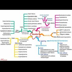 the mind map shows different types of emotions and feelings in each individual's body