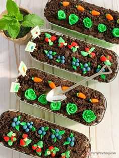 three trays filled with dirt and vegetables