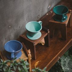 three bowls are stacked on top of each other in front of a concrete wall and plant