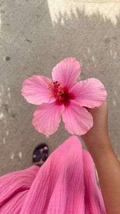 a pink flower is being held up by someone's hand in front of the camera