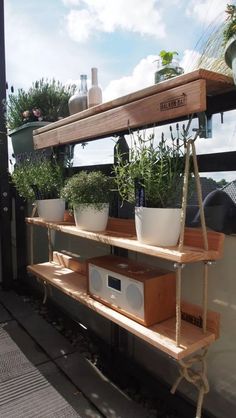 an outdoor shelf with potted plants on it