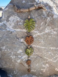 three tropical leaves hang from a tree branch on a rock