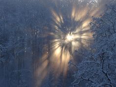 Good Wallpapers, Taken Pictures, Winter Sun, Winter Wallpaper, Best Pictures, Wallpaper Cave, Food Court, Desktop Wallpapers, Winter Aesthetic