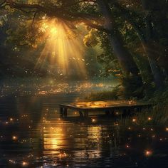 the sun shines brightly through the trees over water