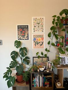 a living room with plants and pictures on the wall