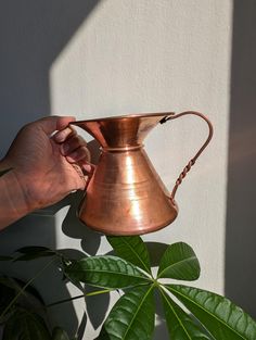 a person holding a copper pitcher over a plant