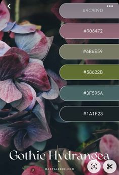 an image of flowers with the text gohic hydrangea on it's side