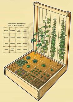 an open wooden box with plants growing in it and instructions on how to grow them