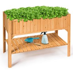 a wooden bench with a planter on top and a blue watering can underneath it