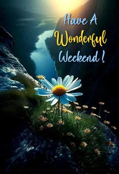 a flower sitting on top of a rock next to a river with the words have a wonderful weekend