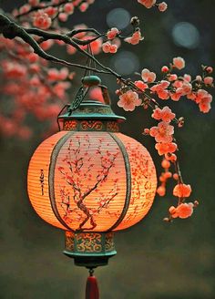 Lampion Aesthetic, Lantern Aesthetic, Lantern Art, Japanese Lantern, Chinese Aesthetic, Japanese Lanterns, Japan Aesthetic, Aesthetic Japan