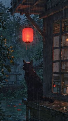 a cat sitting on a bench in the rain under a red light hanging from a lantern