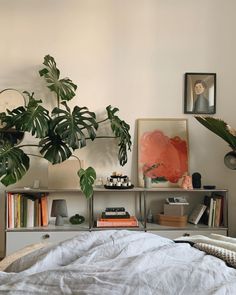 a bedroom with a bed, plant and bookshelf