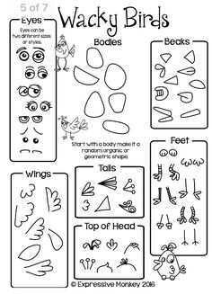 an activity sheet for kids to learn how to draw and color with the words wacky birds