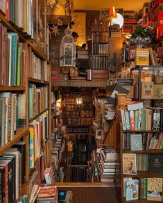 a bookshelf filled with lots of books next to a lamp and birdcage