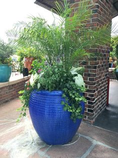 a large blue potted plant sitting on top of a stone floor next to a brick wall