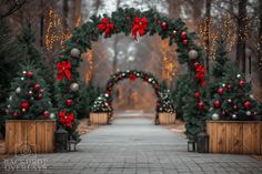 an archway decorated with christmas trees and decorations