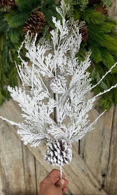 a person holding a fake pine cone in front of a christmas wreath on a wooden wall