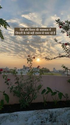 the sun is setting behind a fence with flowers in front of it and some buildings