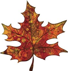 an orange and red leaf on a white background