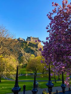 purple flowers are blooming on the trees in front of a castle with a blue sky