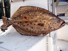 a fish that is sitting on the side of a boat