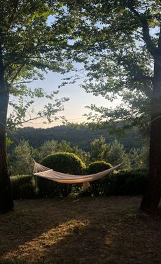 a hammock hanging between two trees on a sunny day with the sun shining through