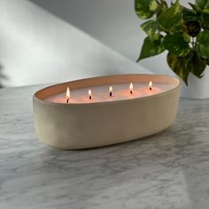 three lit candles sitting in a bowl on a table next to a potted plant