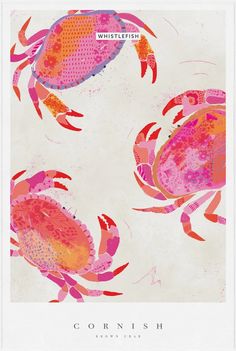 an illustration of pink and orange crabs on white paper with words written in red ink