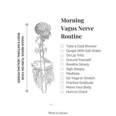 #VagusNerve #VagusNerveStimulation #VagusNerveHealth #NervousSystem #VagusNerveHealing #ParasympatheticNervousSystem #VagalTone #VagusNerveExercises #VagusNerveTherapy #MindBodyConnection #StressRelief #AnxietyRelief #Breathwork #NervousSystemSupport #HolisticHealing #CalmTheNervousSystem #VagusNerveActivation #HealingJourney #Wellness #NaturalHealing Parasympathetic Nervous System, Cold Shower, Mind Body Connection, Move Your Body, Practice Gratitude, Healing Journey, Healing Powers