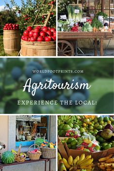 an outdoor market with lots of fruits and vegetables on display, including bananas, apples, watermelon, cucumbers, etc