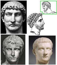 four different types of head and neck busts, all in black and white with green rectangle