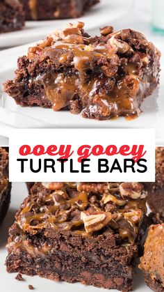 Turtle Ooey Gooey Bars are an easy dessert bar inspired by the classic pairing of chocolate and pecan. These buttery bar cookies are packed with chocolate and topped with caramel sauce and chopped pecans. You’ll quickly return for seconds! Toffee Dessert, Turtle Bars, Ooey Gooey Bars, Easy Dessert Bars, Easy Bar Recipes, Gooey Cake, Gooey Bars, Dessert Recipies