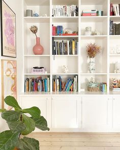 a white bookcase filled with lots of books next to a potted green plant