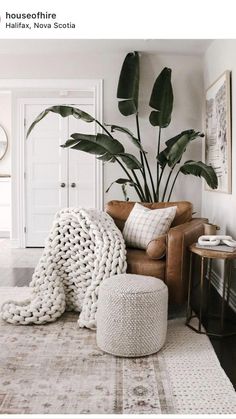 a living room filled with furniture and a large potted plant