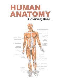 the human anatomy coloring book is shown