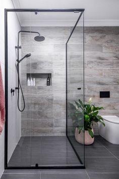 a bathroom with a walk in shower next to a white toilet and a potted plant