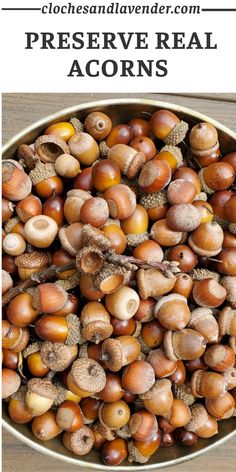 a bowl filled with acorns and the words preserve real acorns on it