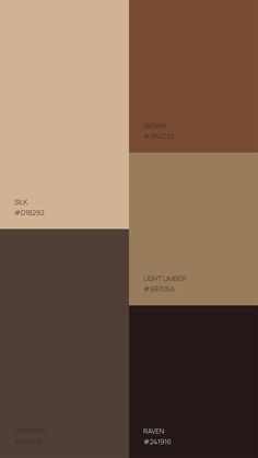 Natural Color Palettes Inspirations - Sienna Color Inspo