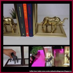 there are pictures of gold figurines in front of books