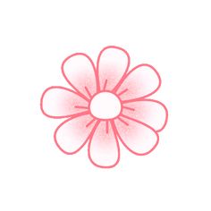 a pink flower on a white background