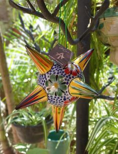 a colorful star ornament hanging from a tree in a garden with potted plants